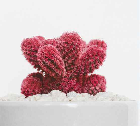 安全可靠好用的ddos压力测试网页端