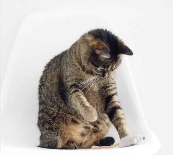 ddos服务器攻击手段